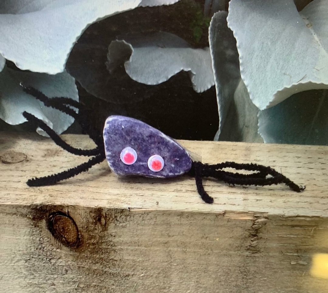 HallBaddow's tweet photo. This week our #Keyworker children have been making pet rocks 😍😍 #schoolclosure #lockdown #greatbaddow #chelmsford #BHIS https://t.co/1k3w1aGFkK