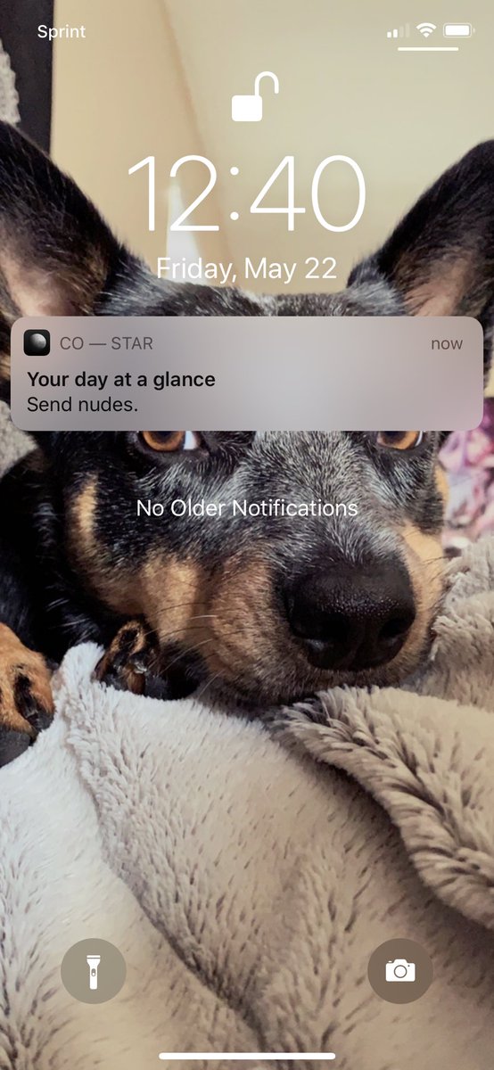 babynatzz's tweet photo. co star always knows what to say ✨ https://t.co/WVX2CaBTdZ