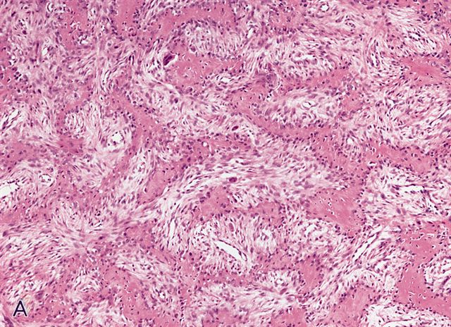 Pathology_2020's tweet photo. @Pathology_2020 
#Cancer #CytoPathology
#OnlineConference

Submit yoir #Abstracts at: https://t.co/B5gUiCmO9y to confirm your slots &amp; visit: https://t.co/UMa0Rre93o to know more about the conference

#pathology #conference #cancer #cytopath #science #medical #biology #doctors https://t.co/SD4fmXuQ0R