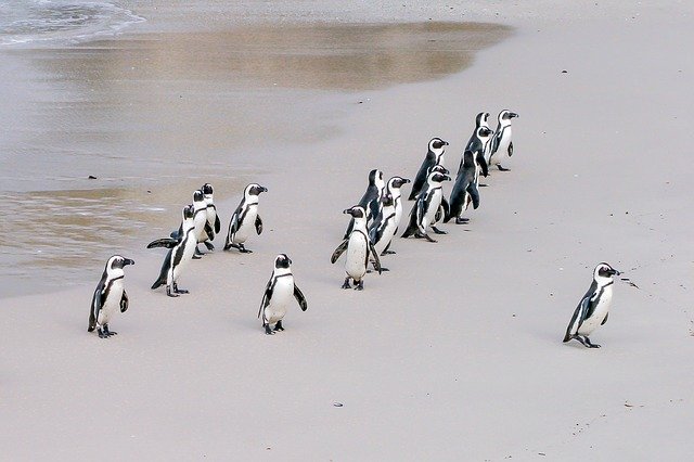 STSolutionsUK's tweet photo. Positive #Leadership! For centuries, experts have tried to answer the question: 'What makes an effective #leader?' I'd be interested to know your thoughts... https://t.co/doGTNe7nCw