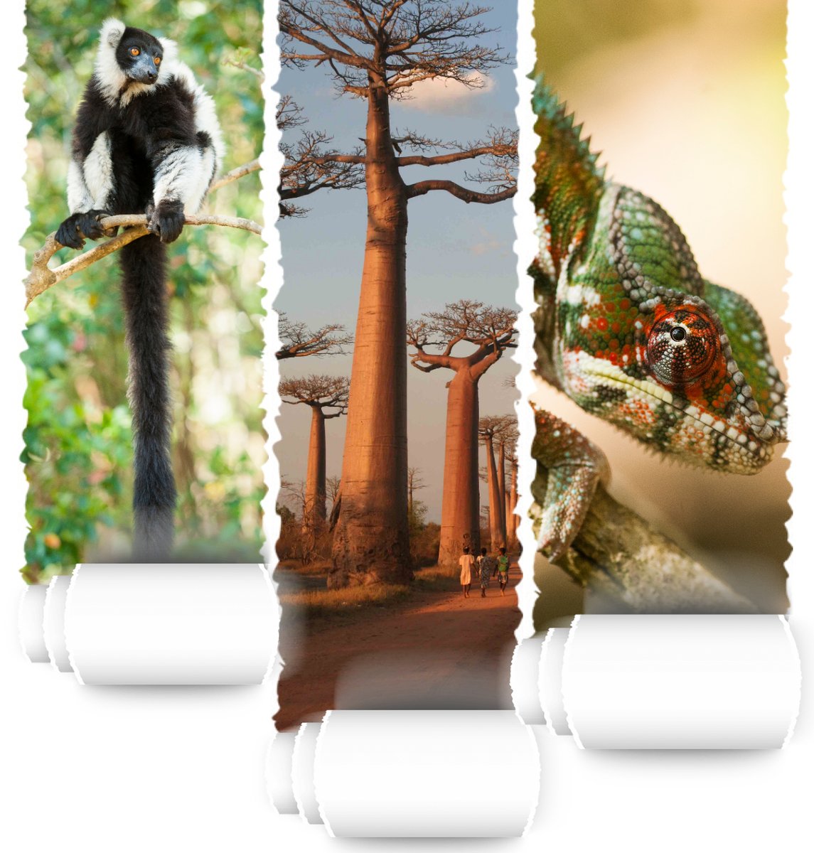 #Journeedelabiodiversite