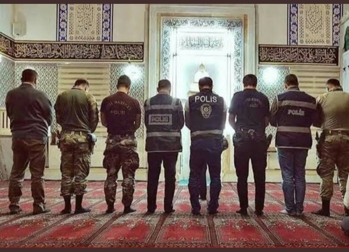 Enescel34545005's tweet photo. #pomemekontenjan yedekten asile https://t.co/NdTOyWlOXh