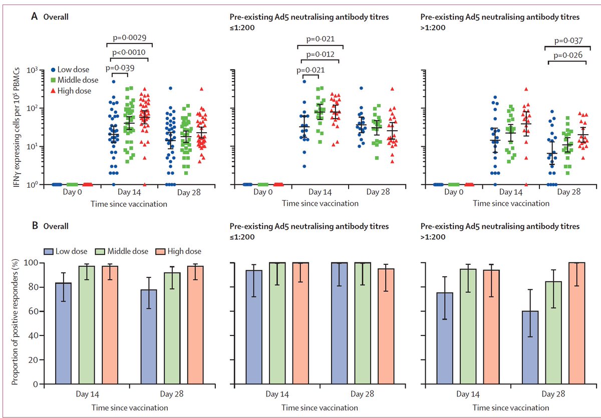 EricTopol's tweet photo. Also just published @TheLancet 
The 1st peer-reviewed paper of a vaccine vs #SARSCoV2 in people. 108 participants had a favorable neutralizing antibody and T cell response. Safe. Phase 1. https://t.co/twIug3Jyy1 https://t.co/HOJgMEKsUr