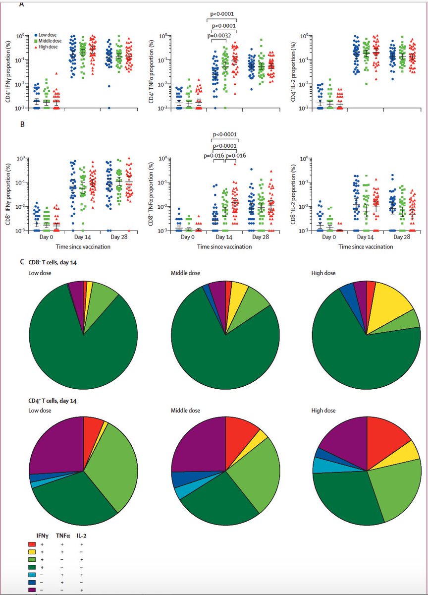 EricTopol's tweet photo. Also just published @TheLancet 
The 1st peer-reviewed paper of a vaccine vs #SARSCoV2 in people. 108 participants had a favorable neutralizing antibody and T cell response. Safe. Phase 1. https://t.co/twIug3Jyy1 https://t.co/HOJgMEKsUr