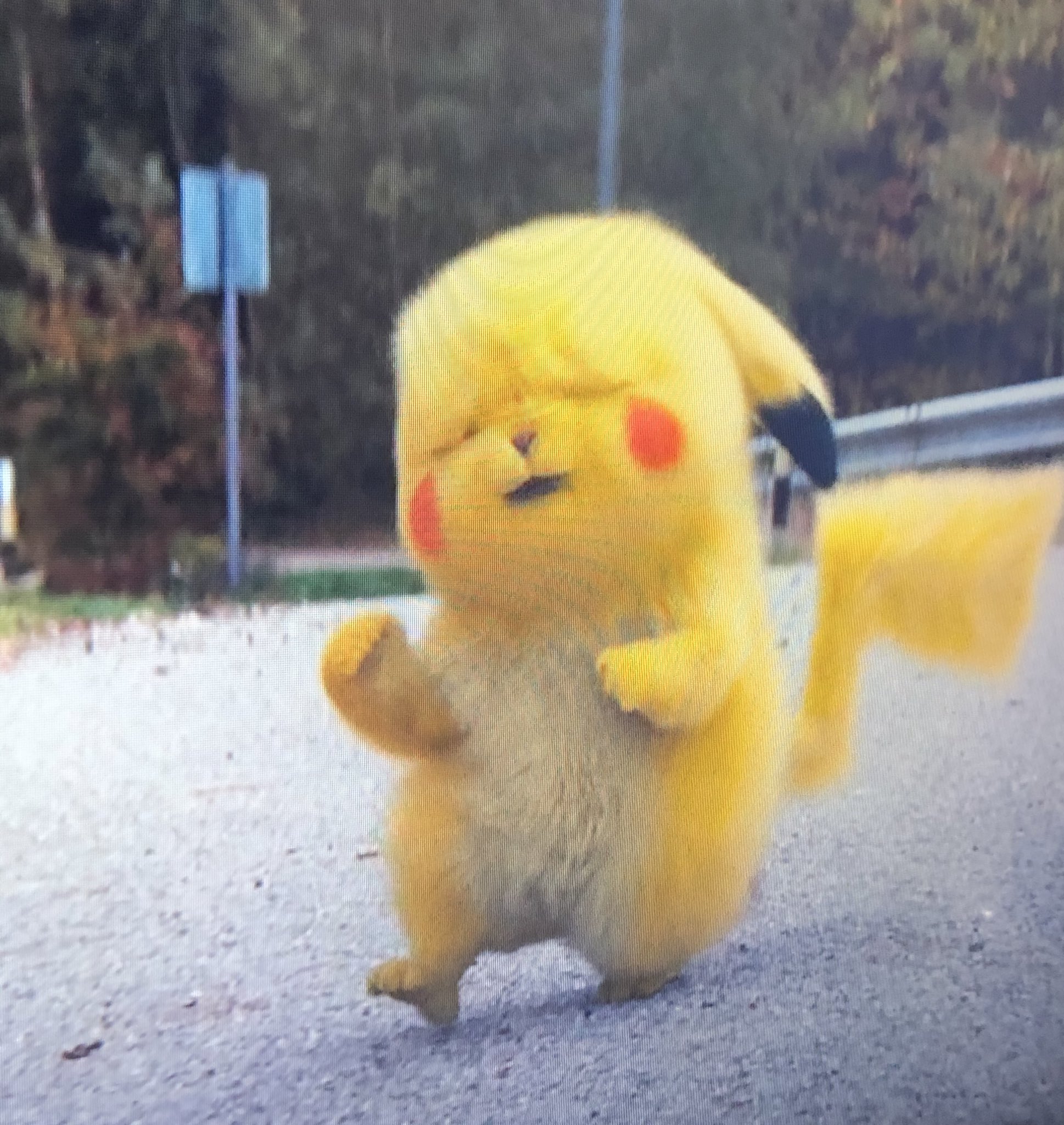 アンク 金曜ロードショー公式 在 Twitter 上 このシーンで ピカチュウ が歌っているのは 海外ファンにはおなじみのアニメ主題歌 Gotta Catch Em All です 金曜ロードショー 名探偵ピカチュウ ポケモン しわしわ顔ピカチュウ おうちで名探偵ピカチュウ