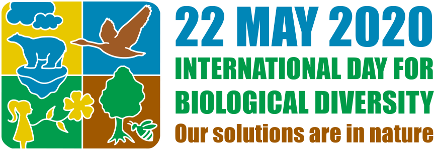 olmanserranoj's tweet photo. Happy International day for Biological Diversity. #ATIBT responsible members managing forest concessions in Central and Western Africa significantly contribute to the conservation of biodiversity. Our solutions are in nature. https://t.co/0rHghZsCbg