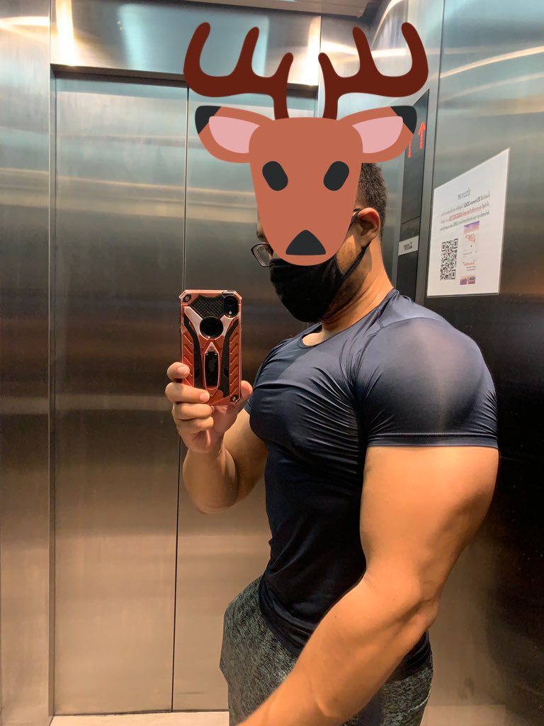 brownbear tweet media