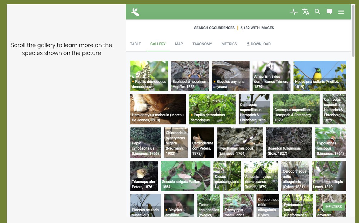 Upande's tweet photo. Happy to announce on this #BiodiversityDay #county level #data on #BiodiversityAtlasofKenya. Counties can now query their data and incorporate it into their integrated plans @KenyaGovernors #CIDP #CountyPlans @ACC_Africa @museumsofkenya @JRSBiodiversity https://t.co/V8yvY4swdm https://t.co/z0vOG2WCWu