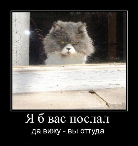 Оы. Царь мем. Открытки с цитатами фаины раневской. Мем послать. Чтоб он жил на одну зарплату.