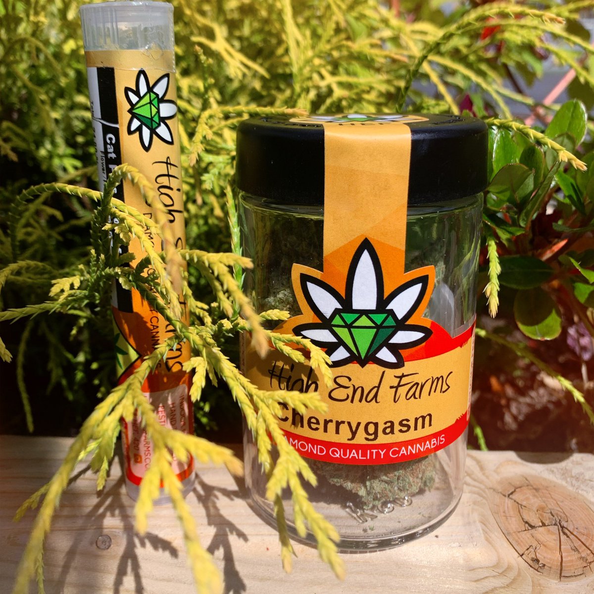 Interested in some Cherrygasm 🍒 or Cat Piss Cookies? 🐱🍪 We’ve got the dankest strains for you this Friday 😛 21+ only. No sales online. I502 compliant. Come visit us at 3708 Mt. Baker Hwy and get 20% off your purchase today.💯