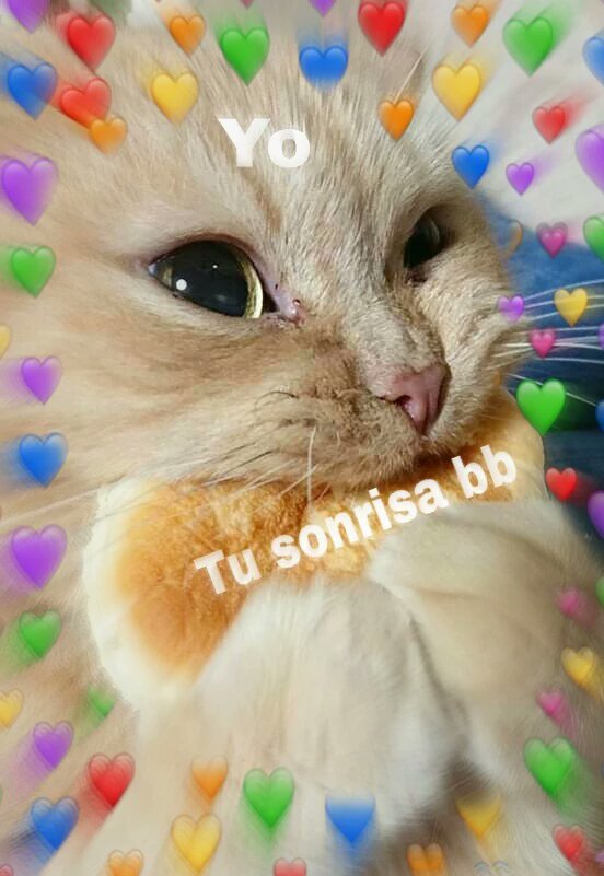 chuuyase's tweet photo. Bueno, como siempre, vengo a decir que vayan a seguirme a la otra cuenta. Y gracias a todos los que me siguieron, tkm https://t.co/RCw1BWflZX