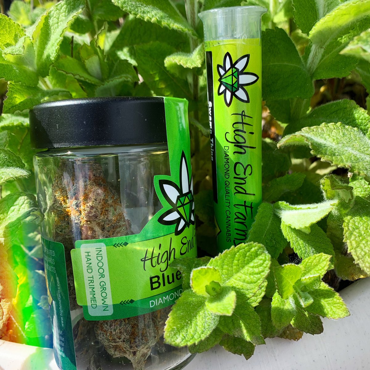 Ever tried Blueberry Pie 🥧 or Swamp Thing 🐲 by High End Farms? Now’s your chance to scoop these strong hybrids for a great price! 20% off today only. 21+ in store. No sales online. I502 compliant. Check out our online menu at wcwcannabis.com and save time by preordering