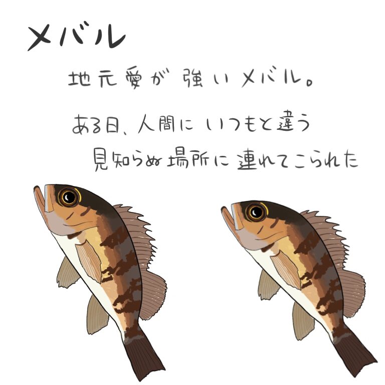 Twoucan メバル の注目ツイート イラスト マンガ コスプレ モデル Twoucan メバル の注目ツイート イラスト マンガ コスプレ モデル