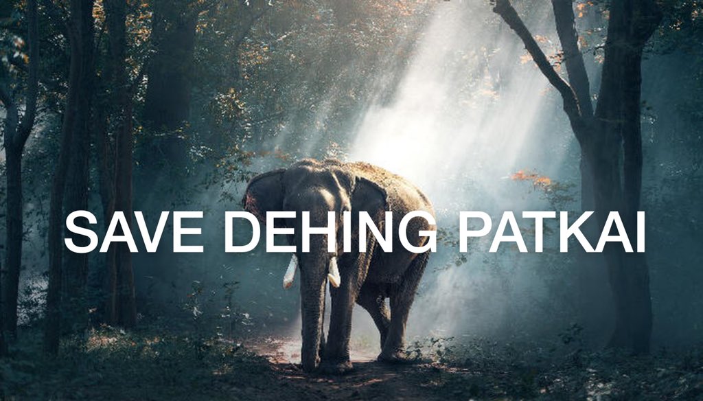 AparnaaBajpai's tweet photo. NBWL has approved a coal mining project in Dehing Patkai Elephant Reserve, which will not only endanger the diverse wildlife at the sanctuary, but also pollute air, land, river systems &amp; destroy forests.
#IamDehingPatkai 
#saveamazonofeast
#BiodiversityDay https://t.co/PP0rAESNXk