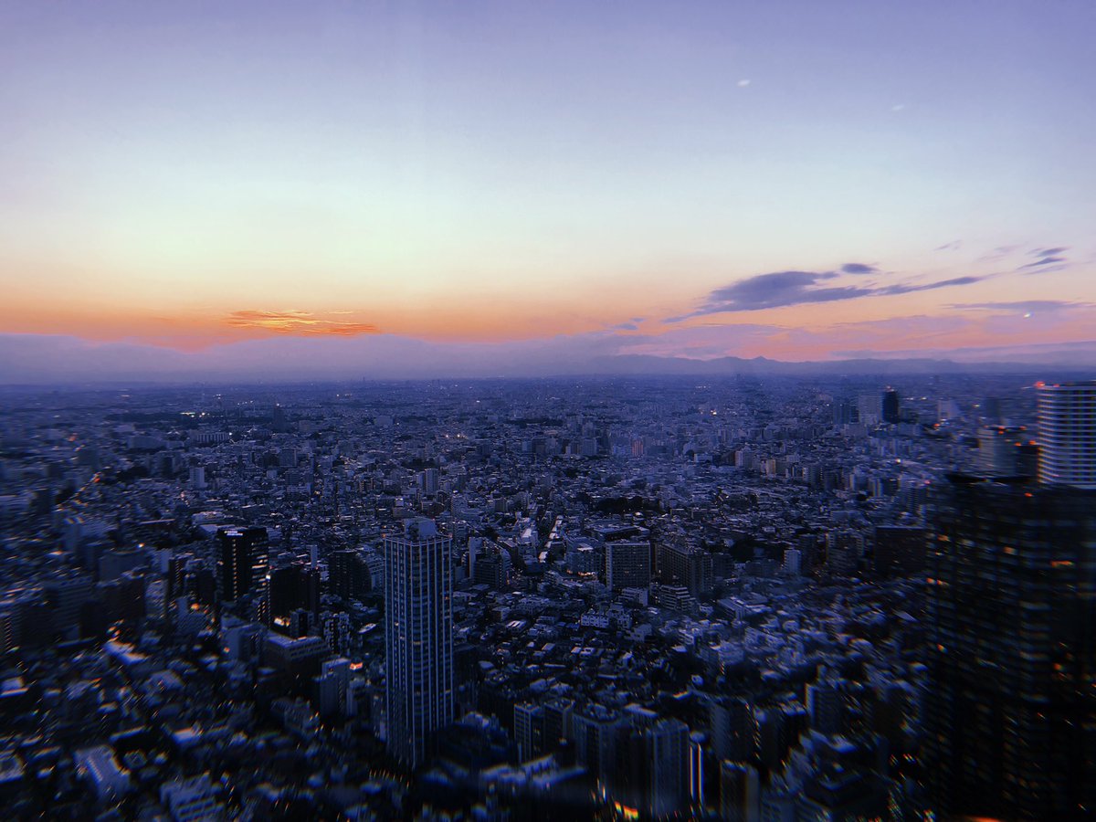 views from the tokyo metropolitan government building !!! 