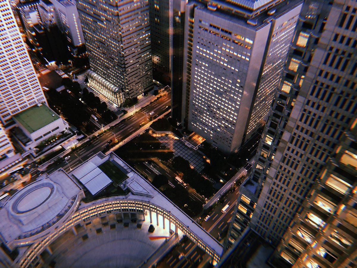 views from the tokyo metropolitan government building !!! 