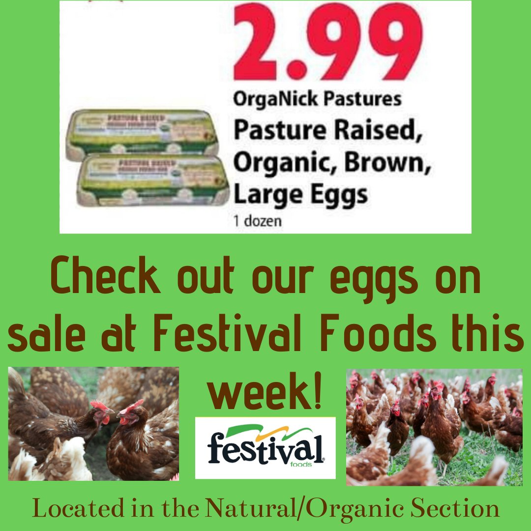 OrganickP's tweet photo. Check out our eggs at Festival! https://t.co/NuxaFo8qIh