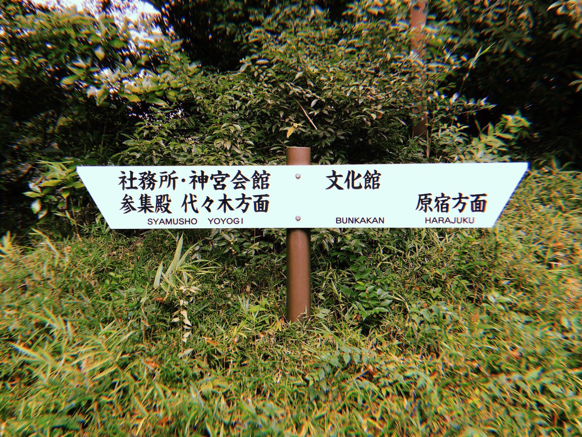 yoyogi park 