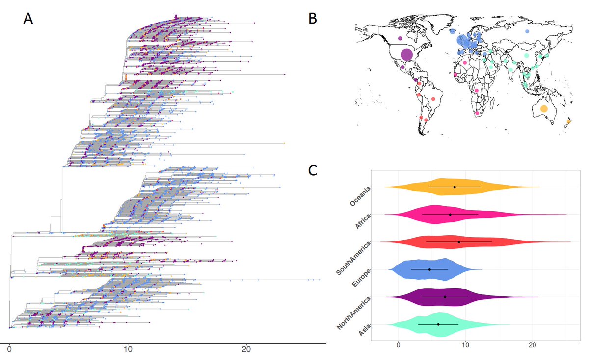 Lucy van Dorp tweet media