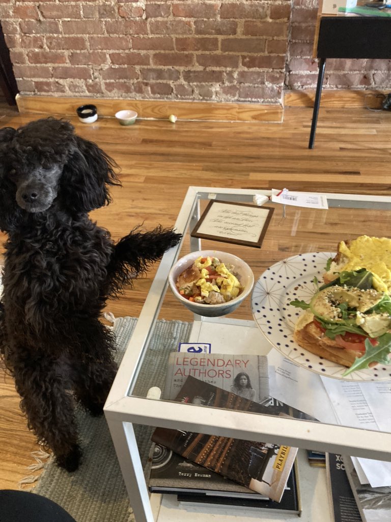 Quarantine brunch with my BFF