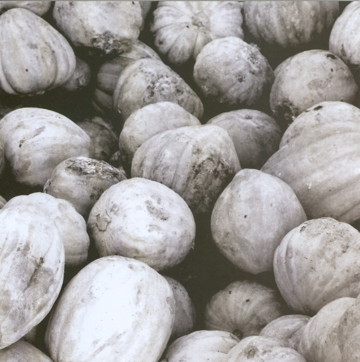 Detalhe de Abóboras no Mercado Municipal. Feira de
Santana (BA), 2010. Esta imagem é uma das 17 fotos da
coleção de cartões O Brasil &amp; a África, de Rafael
Sanzio dos Anjos. A coleção completa esta à venda: rafaelsanziodosanjos.com.br/images/geostor….
R$60,00.