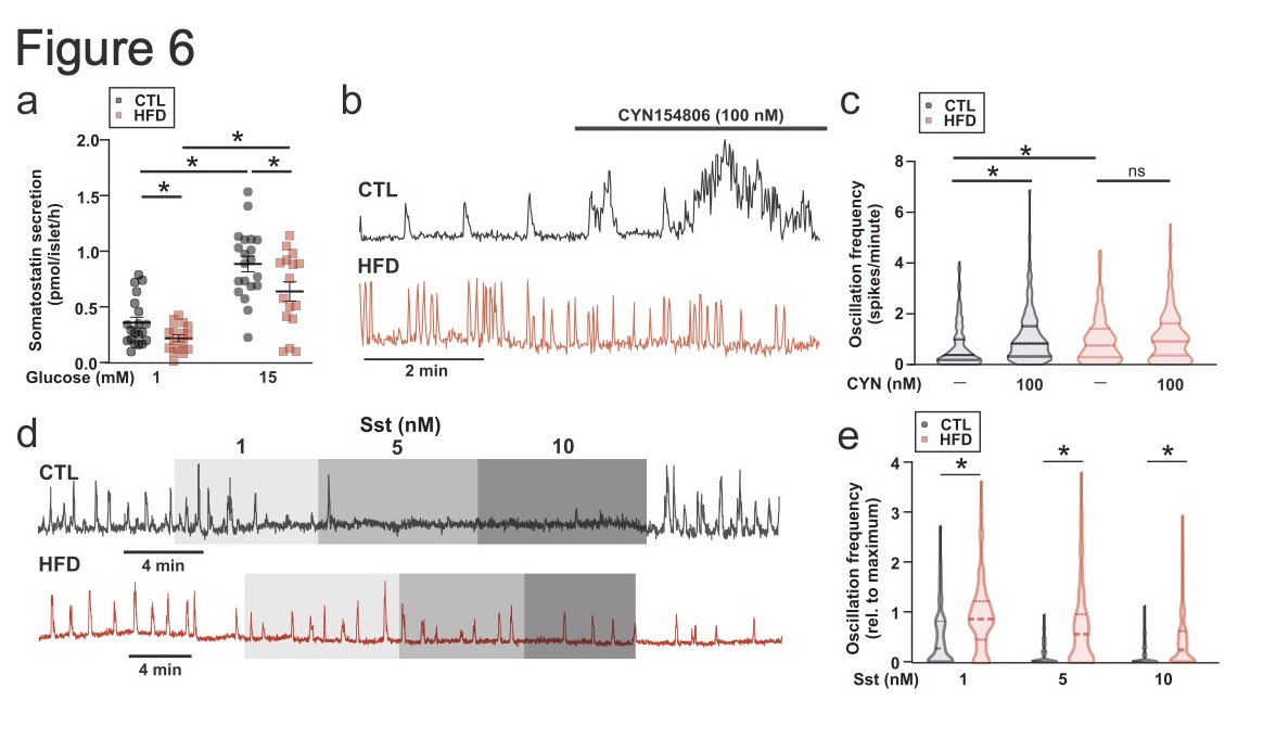 MolMetab's tweet photo. Reduced #deltacell function, combined with intrinsic changes in #alphacell sensitivity to #somatostatin, accounts for the #hyperglucagonemia in mice fed #HFD
https://t.co/2nxkpa5fr9
#glucagon #islet #diabetes #calcium #paracrine https://t.co/jE8xtPKDLn
