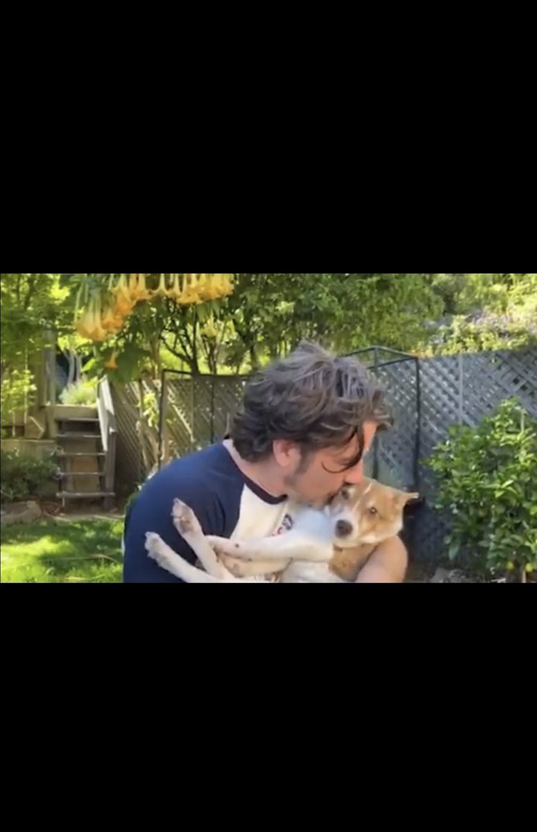 fisheysoup's tweet photo. @train @BethStern @AnimalLeague What a wonderful song 😭!  The joy on the faces of the dogs and humans lifts your spirit and warms your heart!! AND a cameo by these two @mattnathanson 🥰 #canyoufeelthelove #rescuedogs #BethIsAnAngel😇 #BiancasFurryFriends #MidAmericanBostonTerrierRescue #Maxfund https://t.co/REEYbOjPqr