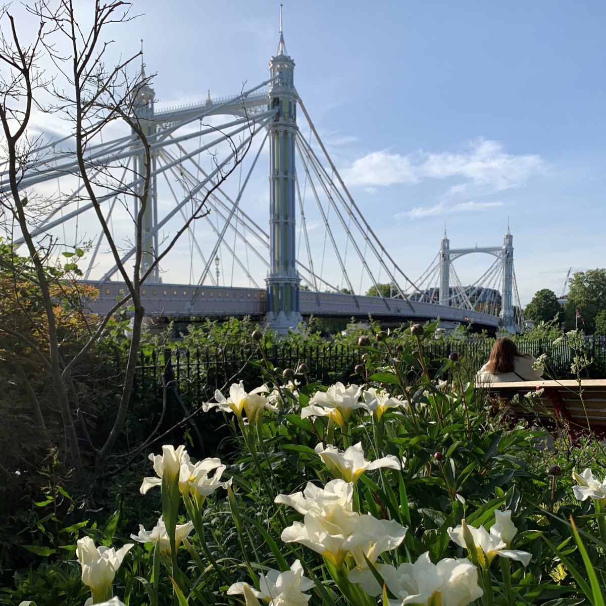 BatterseaPwrStn's tweet photo. Why not pack a picnic and enjoy a riverside walk to your local park this weekend? @VagabondWines curated selection of isolation packages can be conveniently purchased through Deliveroo or Shopify and make a great addition to any basket. https://t.co/GdcJkWezJV #isolationpackages https://t.co/yr1n9cVW7m