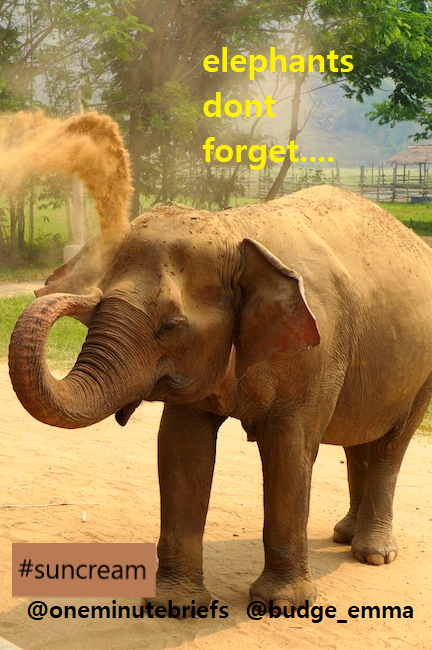 budge_emma's tweet photo. One Minute Brief of the Day: Advertise suncream

Elephants don't forget...
#SUNCREAM 
@OneMinuteBriefs
 #creative #Advertising  
 #spfmud #sunprotectionfactor https://t.co/ZdYv86eRbg
