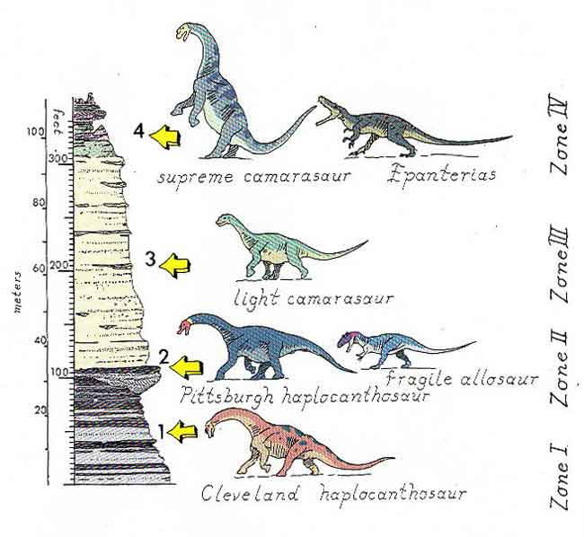 But these animals were actually living across at least 7 million years and a vast geographic area, and mostly weren't found alongside one another ...  http://tetzoo.com/blog/2020/4/24/stop-saying-that-there-are-too-many-sauropod-dinosaurs-part-4  #dinosaurs