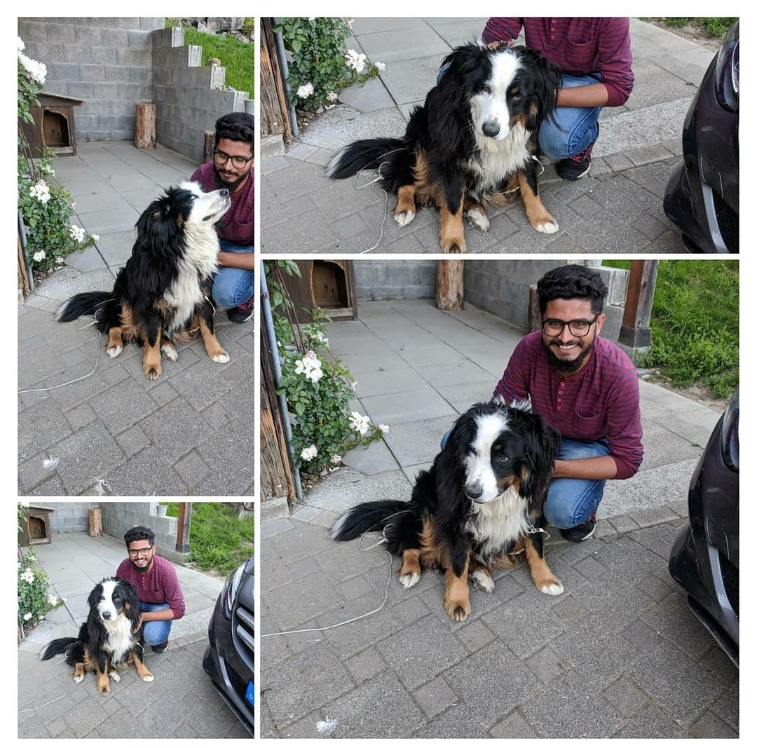 There's a reason 🐕 are called man's best friend. 

I hope after watching PaatalLok more people would support initiatives like <a href="/LetItWagApp/">Let it Wag</a> 

Amazing work you're doing <a href="/ysheth02/">Yash Sheth</a>

#pataallok #PaataLok #PaatalLokKeLog