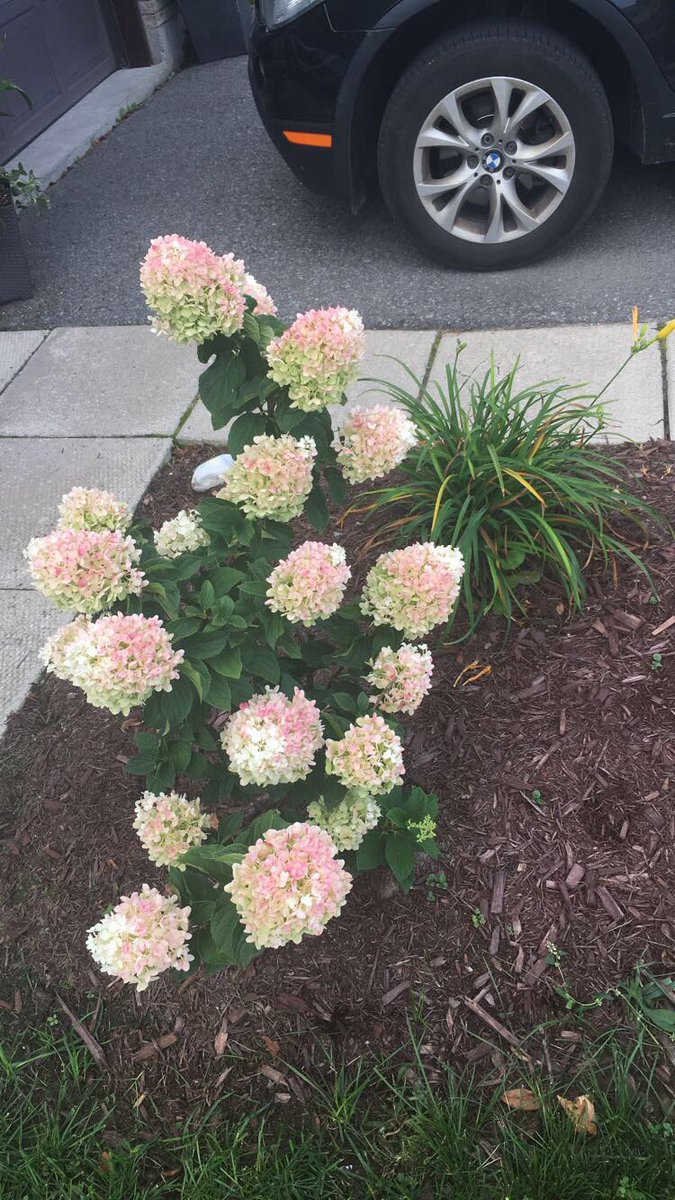 Day 7/7 my life in pictures... No people...no words <a href="/kfrancz/">Kim Francz</a>