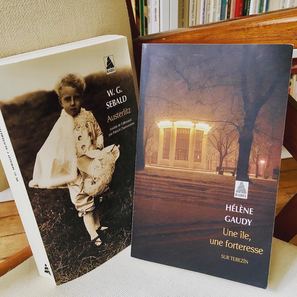 au_pages's tweet photo. Deux récits profonds et intelligents, qui se font écho, pour questionner les absences, les failles, et la mémoire… Essentiel ! @ActesSud @editionsinculte #litterature #sebald #helenegaudy #terezin https://t.co/WEFCVwKrBx