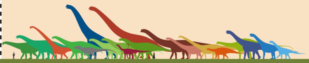But these animals were actually living across at least 7 million years and a vast geographic area, and mostly weren't found alongside one another ...  http://tetzoo.com/blog/2020/4/24/stop-saying-that-there-are-too-many-sauropod-dinosaurs-part-4  #dinosaurs