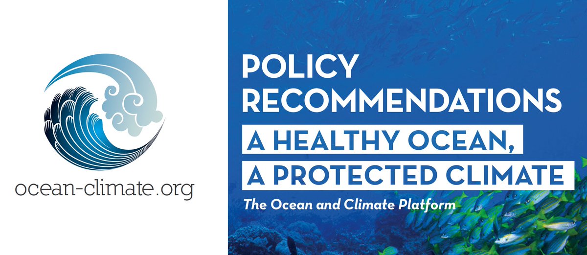 ocean_climate's tweet photo. Today is #Biodiversityday! Did you know that marine biodiversity is essential for #climateregulation and life on 🌏? That's why it is essential to protect it ! To find out more, read our policy recommendations 👉https://t.co/qu9gK6Y5Mh #OceanforClimate https://t.co/X36hZbgF7O