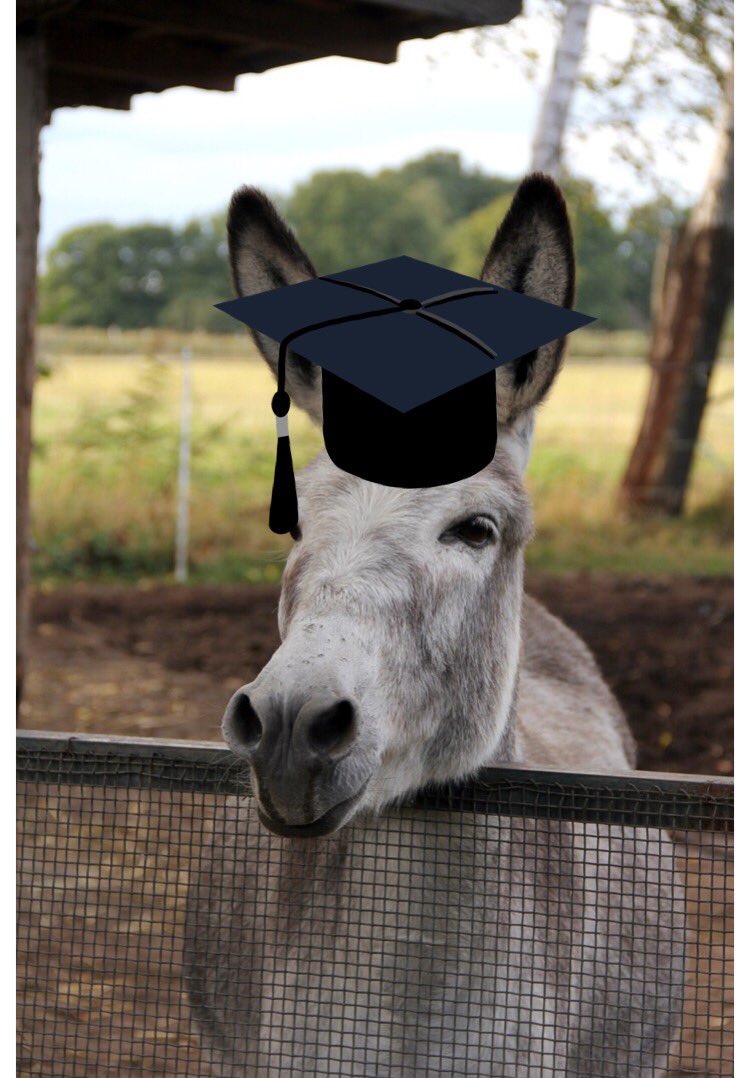 MissLilligant's tweet photo. @MyNameLucario Here you go, it’s a smart ass https://t.co/ykyU3BK9ME