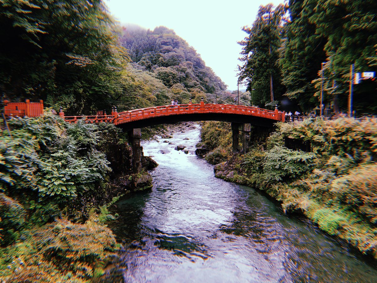 more nikko 