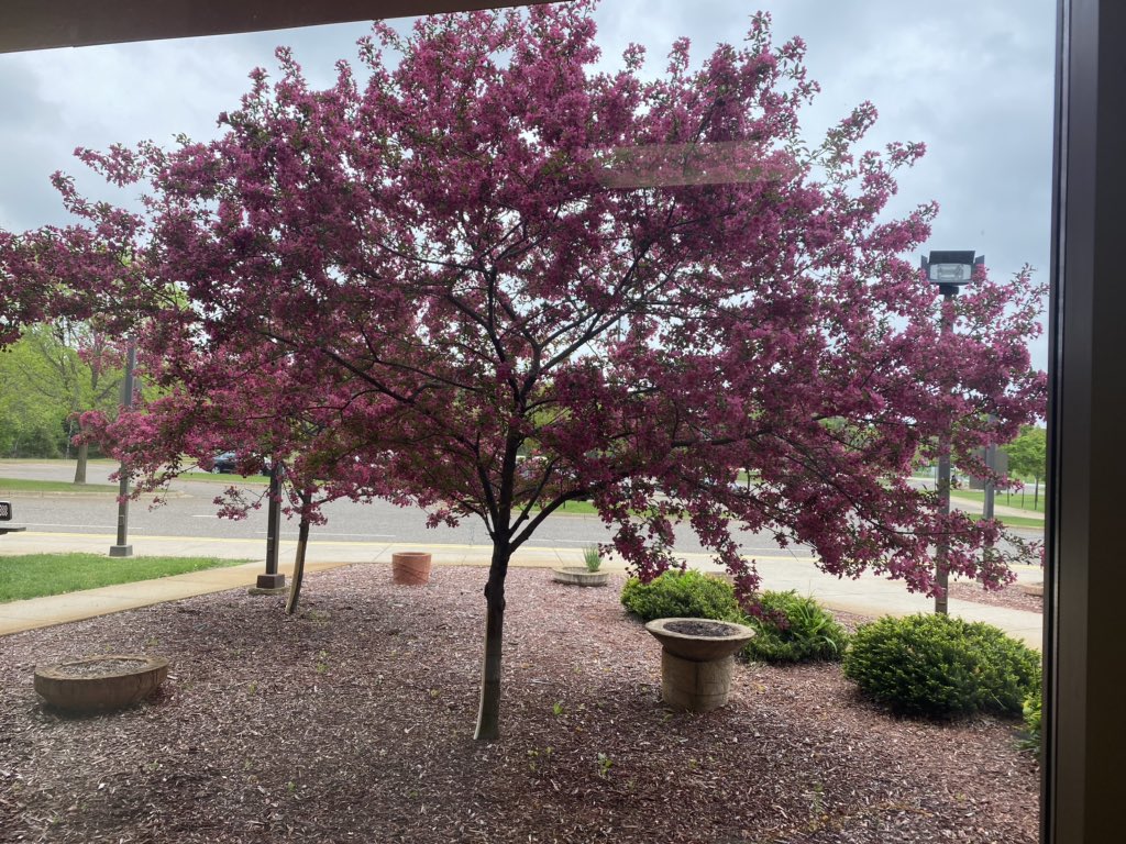 View from my office this morning! ☀️. I love my school!!  <a href="/RumRiverElem/">Rum River Elementary</a>