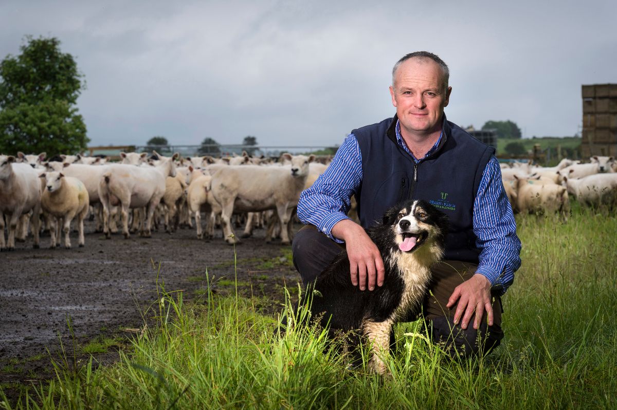 Macbeths's tweet photo. Meet our sheep farmer and buy some fantastic Highland Hogget - https://t.co/9Ghti3vJFy https://t.co/zaw4oTYA2b