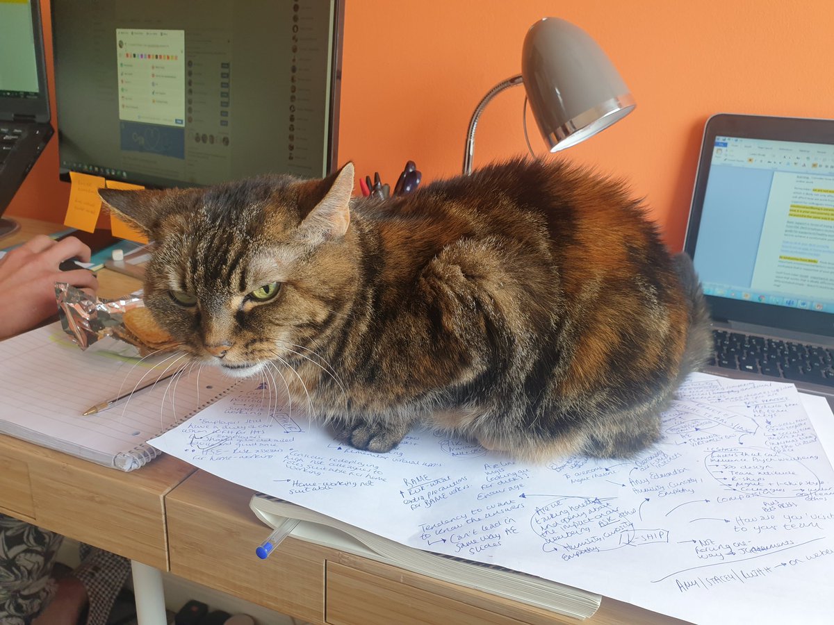 GillP82's tweet photo. Maggie isn't impressed but it's been a fab week; gr8 to work on remote working, HWB, OD network priorities, supporting BAME colleagues &amp; designing discussion spaces with others in the system. So important to stop, reflect and appreciate our work in this crazy time #CandMOD #DoOD https://t.co/SmuVNKdzox