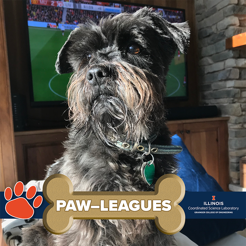 CSL_Illinois's tweet photo. This week's CSL Pawleagues are some familiar faces wishing you a great weekend! https://t.co/6PXFiiLAoq