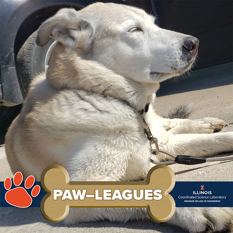 CSL_Illinois's tweet photo. This week's CSL Pawleagues are some familiar faces wishing you a great weekend! https://t.co/6PXFiiLAoq
