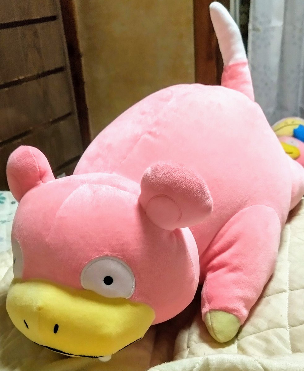 かよ 8 ヤドンラブ على تويتر ヤドンのいる生活 もちふわヤドンちゃん 密林とかでめちゃくちゃ大好評 ほぼ星5 なのでオススメの一品