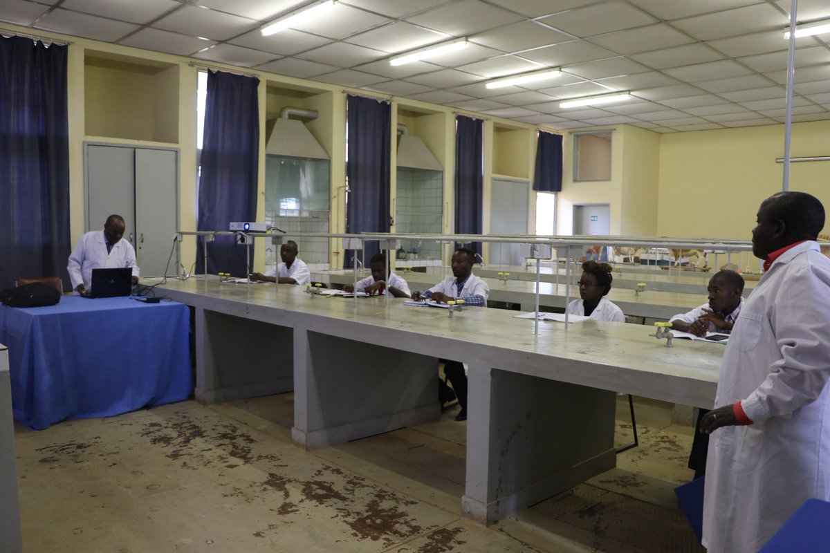 Dr. Joseph BUTORE (Ph.D) tweet media