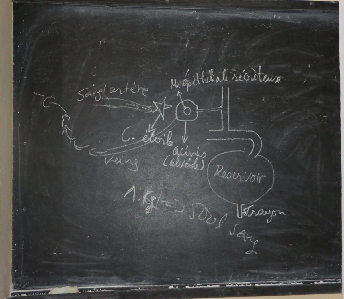 Dr. Joseph BUTORE (Ph.D) tweet media