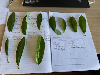 DrHarbachTMCS's tweet photo. The highlight of my day was to see these amazing examples of young scientists at work at home. Well done Alfie, Morgan, Rihanna and Ruby in year 8. @mrfrankish @TimSmithCEO @TLatTMCS @tmcsjanzan https://t.co/uYidblComS