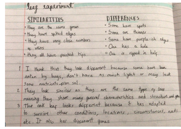 DrHarbachTMCS's tweet photo. The highlight of my day was to see these amazing examples of young scientists at work at home. Well done Alfie, Morgan, Rihanna and Ruby in year 8. @mrfrankish @TimSmithCEO @TLatTMCS @tmcsjanzan https://t.co/uYidblComS