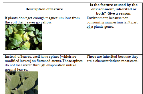 The highlight of my day was to see these amazing examples of young scientists at work at home. Well done Alfie, Morgan, Rihanna and Ruby in year 8. <a href="/mrfrankish/">MrFrankish 🥽🧪🔬🧫 ⚗</a> @TimSmithCEO @TLatTMCS @tmcsjanzan