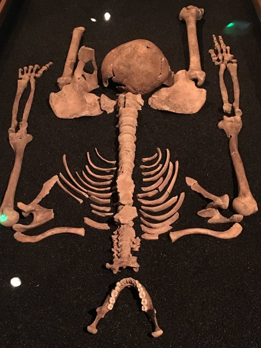 TinctureOfMuse's tweet photo. One of my favourite #Romans exhibition for #MuseumsUnlocked has to be @MuseumofLondon #Docklands #RomanDead stunning objects and DNA analysis bringing our Roman ancestors to life @JackieKeily and the team bringing memorable fresh perspectives https://t.co/8l76q6Nzlh