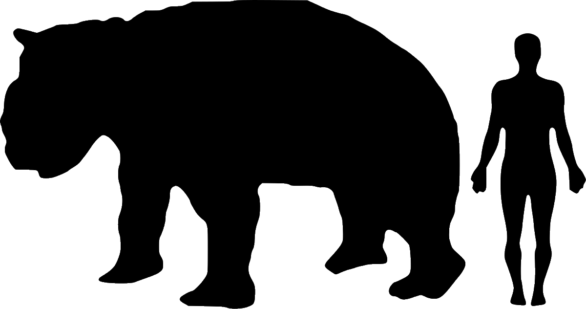 山田英春 Twitterren ウォンバットにしては足が長い 年前頃まで クマのような巨大ウォンバット ディプロトドンというのがいたのだが それにしても足が長いか 図版はwikimedia